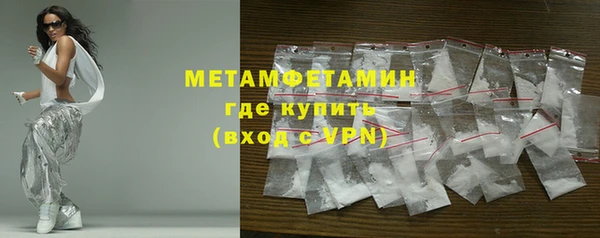 ПСИЛОЦИБИНОВЫЕ ГРИБЫ Новозыбков
