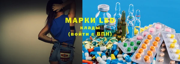 ПСИЛОЦИБИНОВЫЕ ГРИБЫ Новозыбков