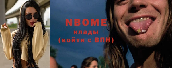 ПСИЛОЦИБИНОВЫЕ ГРИБЫ Новозыбков
