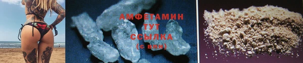 ПСИЛОЦИБИНОВЫЕ ГРИБЫ Новозыбков