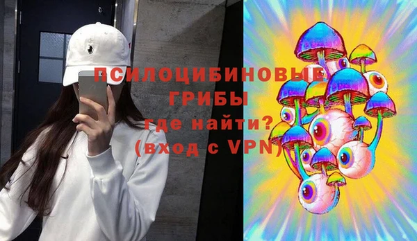 ПСИЛОЦИБИНОВЫЕ ГРИБЫ Новозыбков