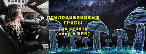 ПСИЛОЦИБИНОВЫЕ ГРИБЫ Новозыбков