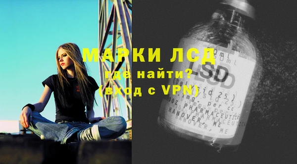 ПСИЛОЦИБИНОВЫЕ ГРИБЫ Новозыбков