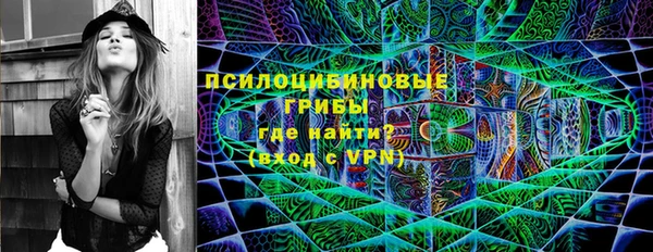гидра Новокубанск