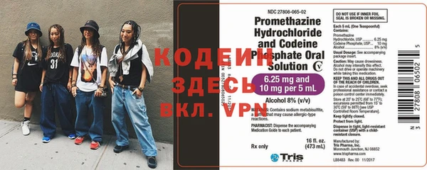 ПСИЛОЦИБИНОВЫЕ ГРИБЫ Новозыбков