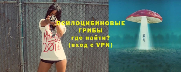 гидра Новокубанск