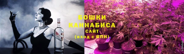 ПСИЛОЦИБИНОВЫЕ ГРИБЫ Новозыбков
